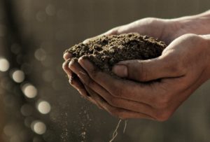 Soil for planting